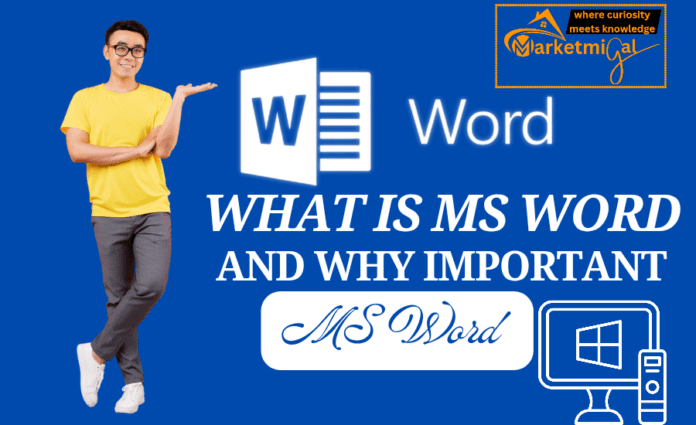 Why importance of ms word