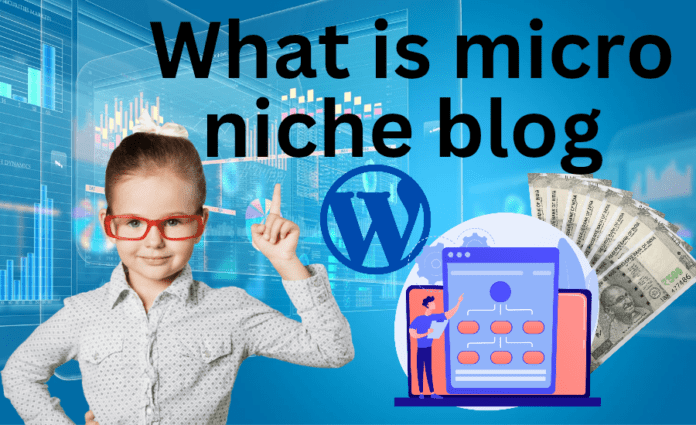 What is micro niche blog